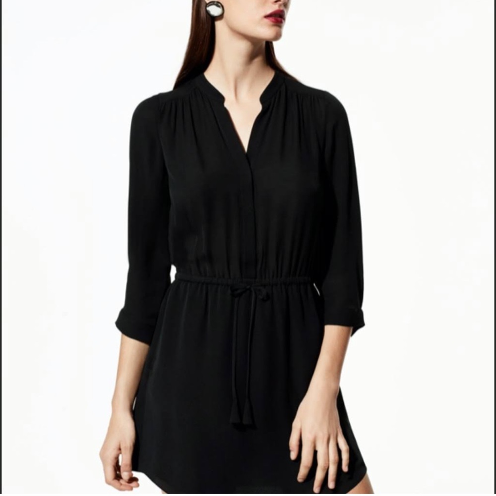 Barton Aritzia Silk Dress